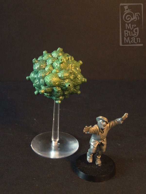 Fruiting Ascomoid