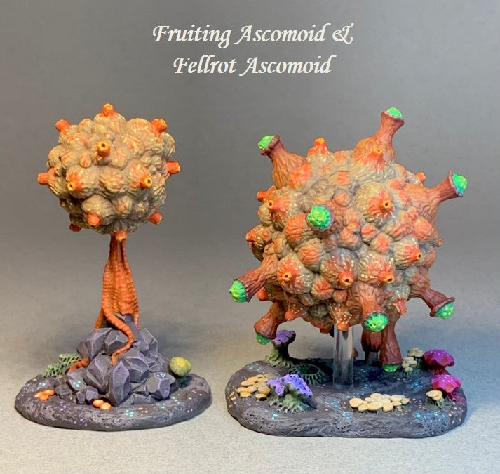 Fellrot Ascomoid