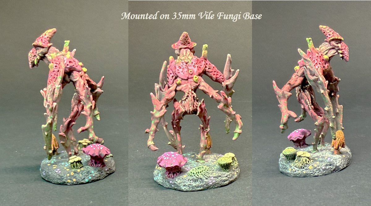 Corrupted Myconid, Stabber