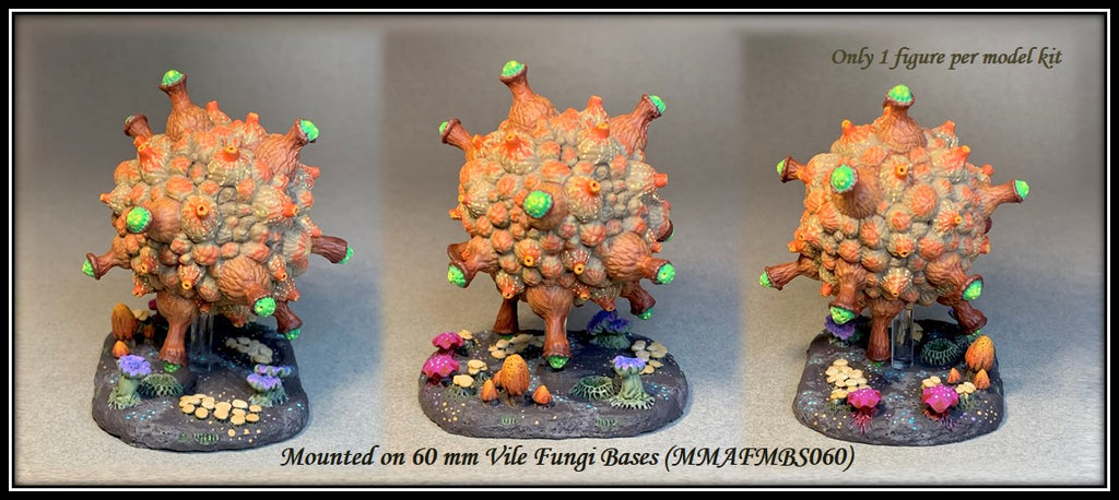 Fellrot Ascomoid