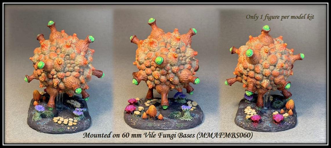 Fellrot Ascomoid