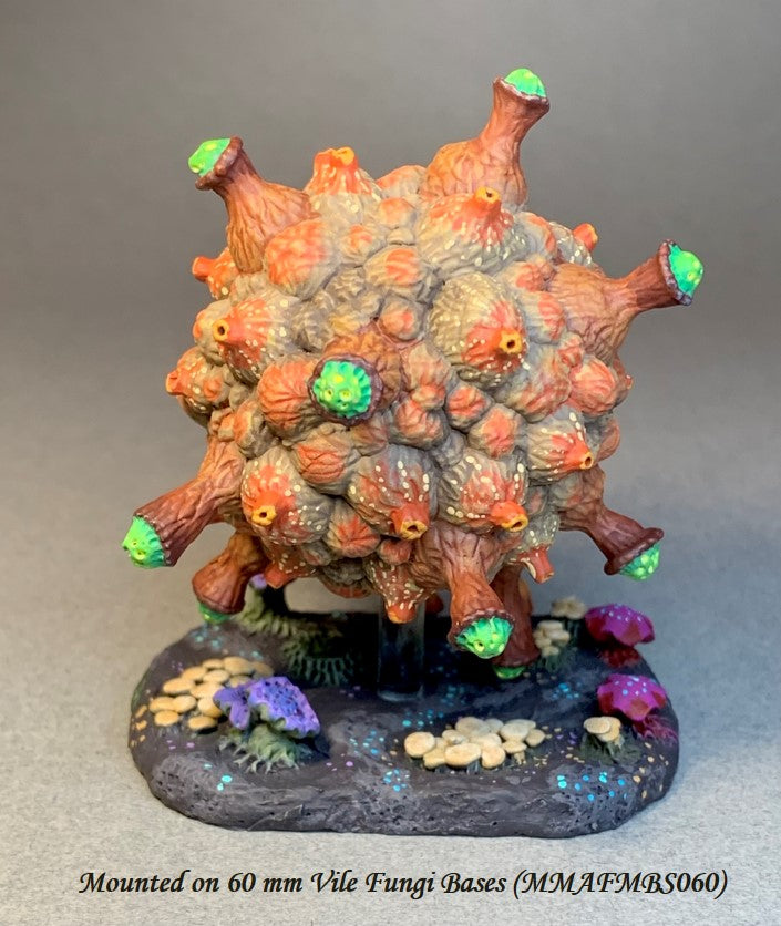 Fellrot Ascomoid