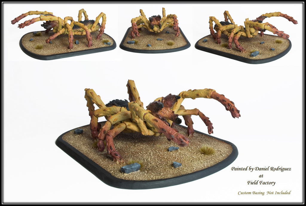 Giant Solifugid