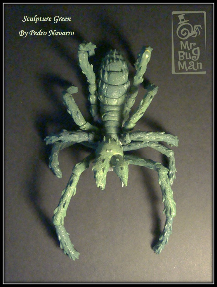 Giant Solifugid