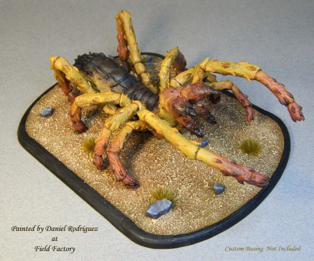 Giant Solifugid