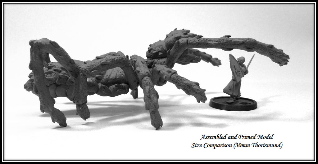 Giant Solifugid