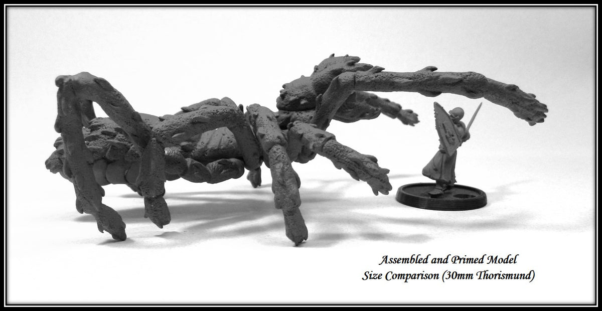 Giant Solifugid