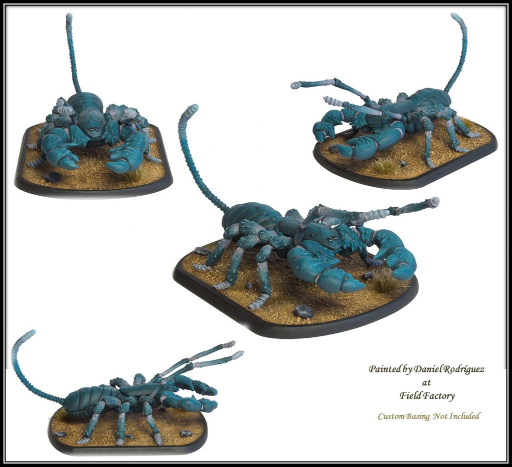 Giant Whiptail Scorpion