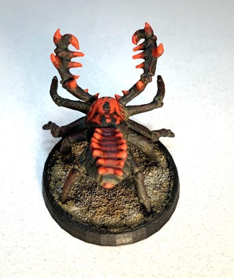 Huge Spiny Pedipalp