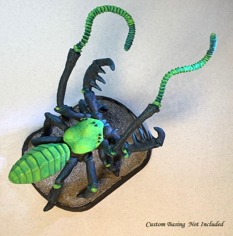 Huge Whip Pedipalp