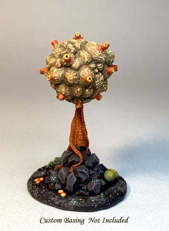 Fruiting Ascomoid