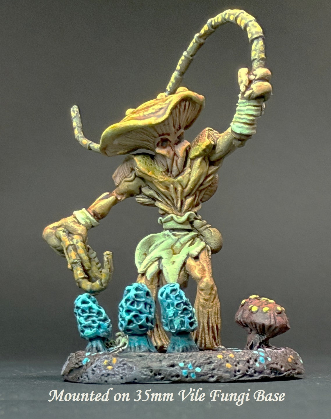 Myconid Hero, Whipmaster