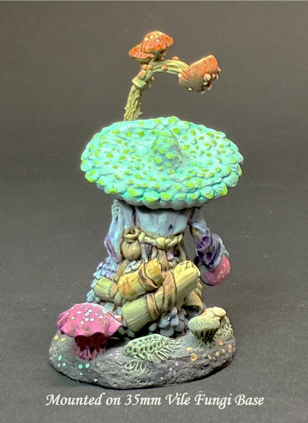 Myconid Hero, Sorcerer