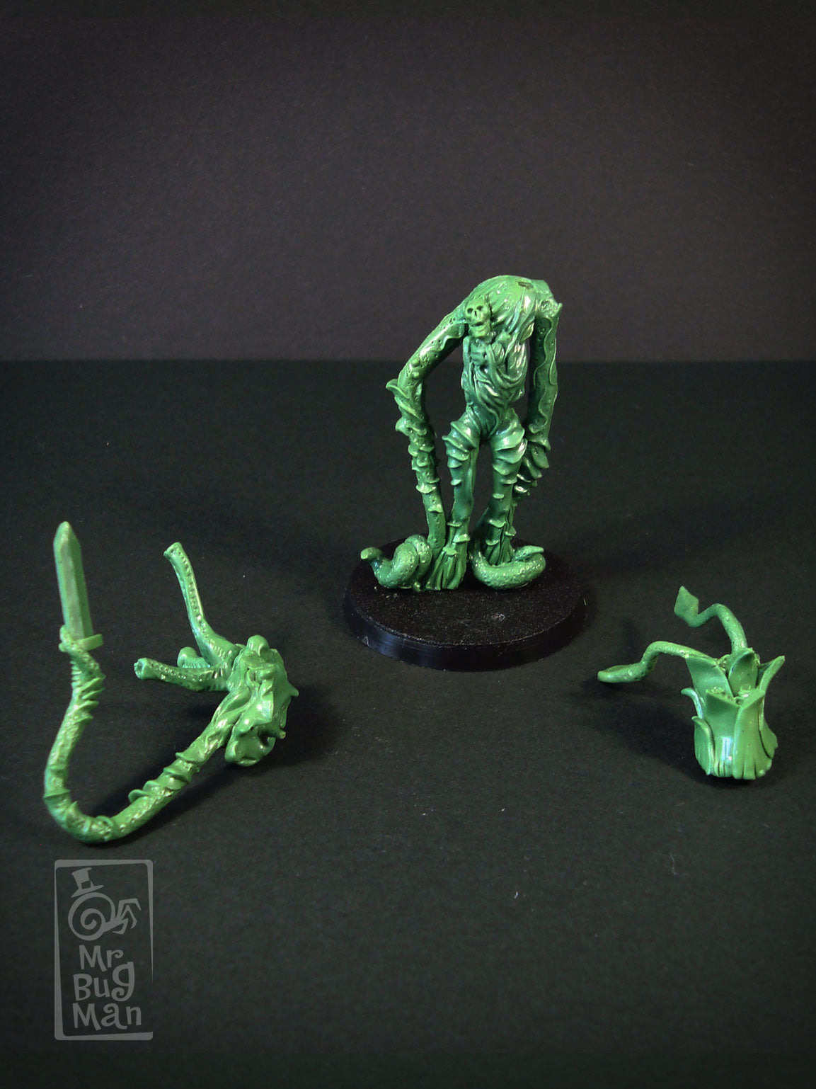 Zygom Rotguard